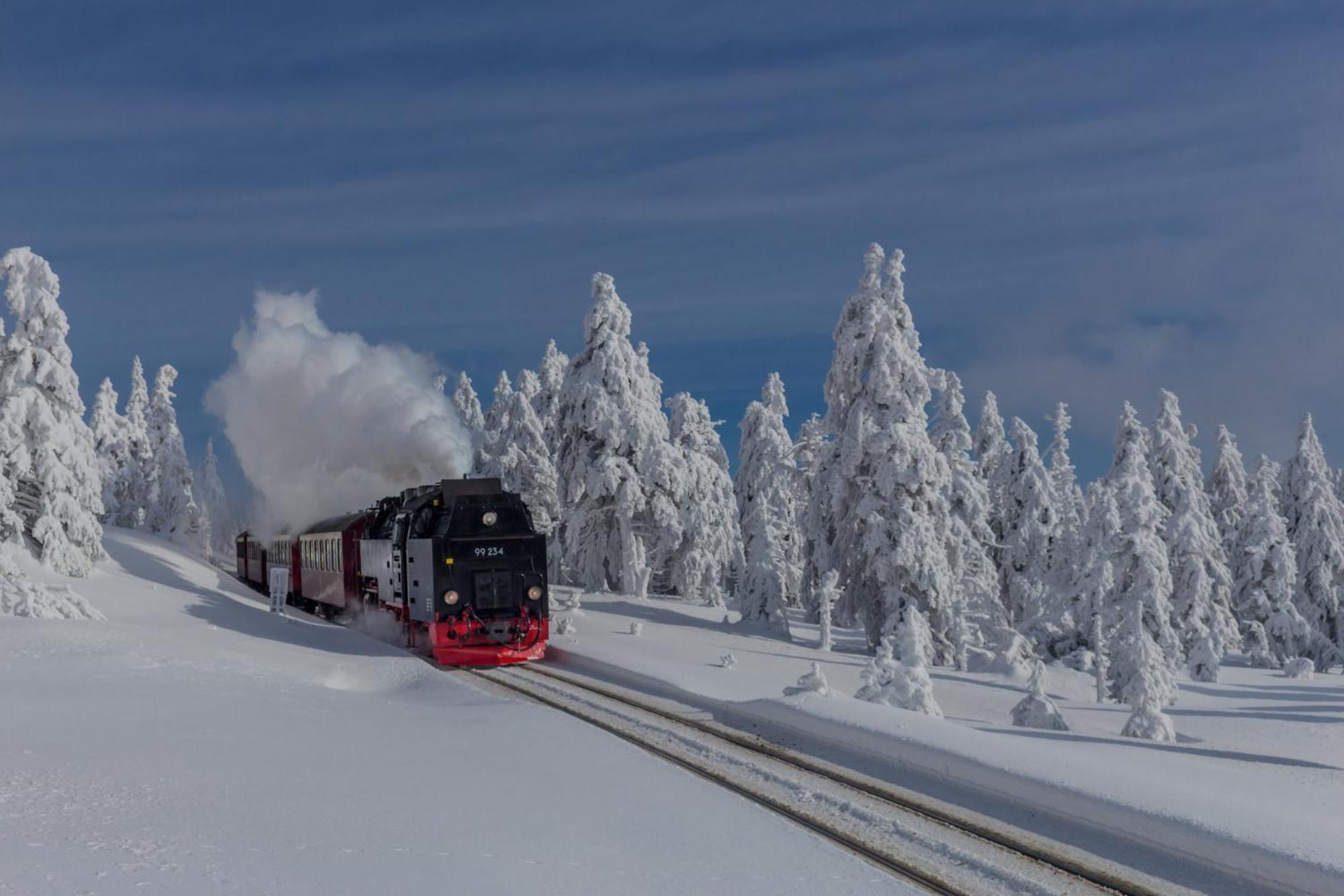 Traumfewo Palais #Innenstadt #Garten #Netflix Von Harztraveler Wernigerode Buitenkant foto