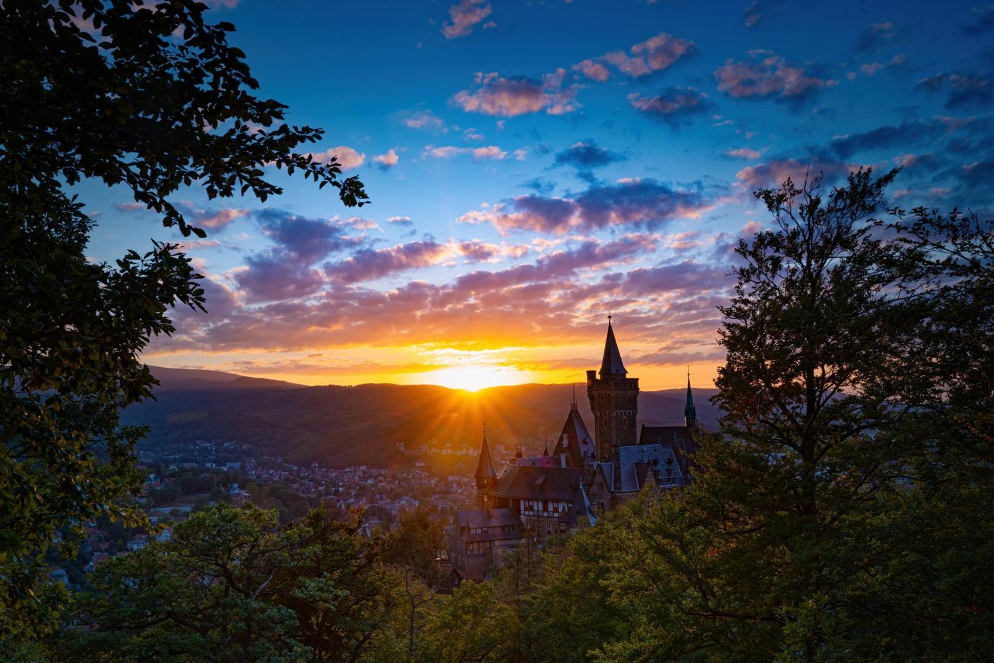 Traumfewo Palais #Innenstadt #Garten #Netflix Von Harztraveler Wernigerode Buitenkant foto